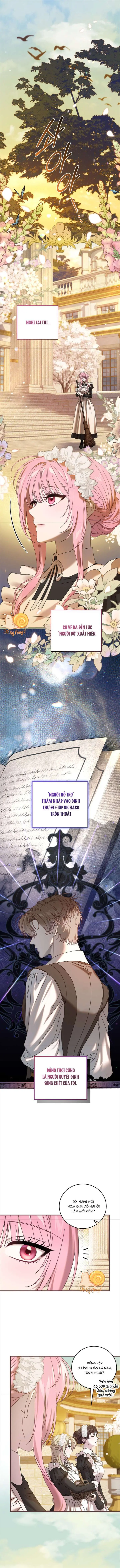 Kẻ Ám Ảnh Cuồng Tín Đang Cố Giam Cầm Tôi Chapter 27 - Trang 2