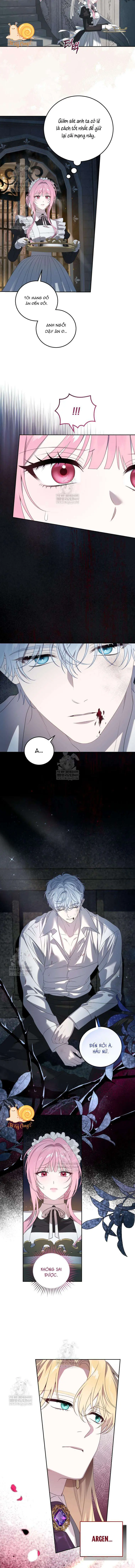 Kẻ Ám Ảnh Cuồng Tín Đang Cố Giam Cầm Tôi Chapter 3 - Trang 11