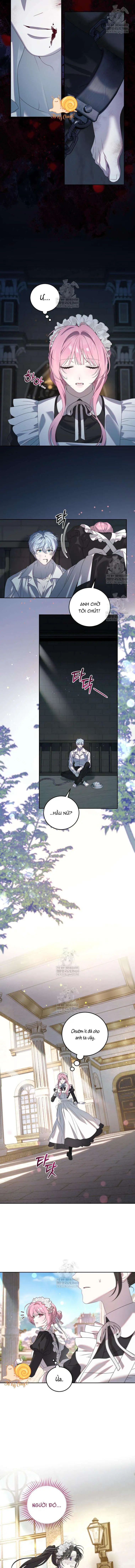 Kẻ Ám Ảnh Cuồng Tín Đang Cố Giam Cầm Tôi Chapter 3 - Trang 13