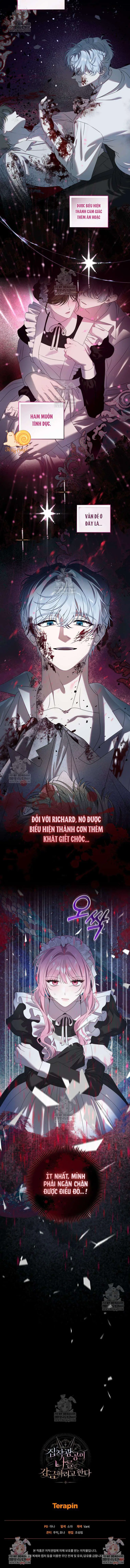 Kẻ Ám Ảnh Cuồng Tín Đang Cố Giam Cầm Tôi Chapter 3 - Trang 15