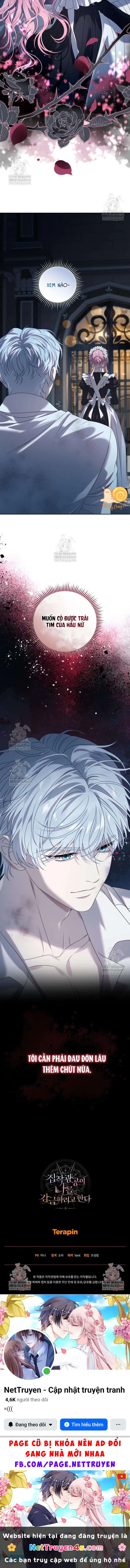 Kẻ Ám Ảnh Cuồng Tín Đang Cố Giam Cầm Tôi Chapter 4 - Trang 16