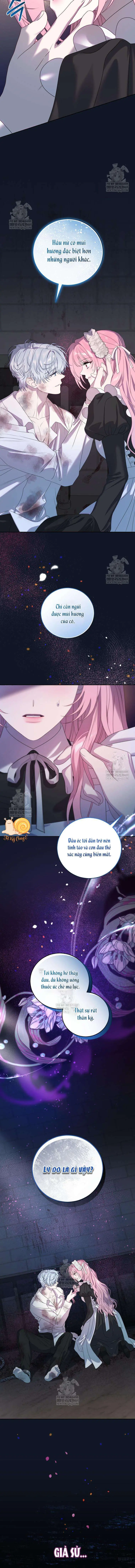 Kẻ Ám Ảnh Cuồng Tín Đang Cố Giam Cầm Tôi Chapter 6 - Trang 5