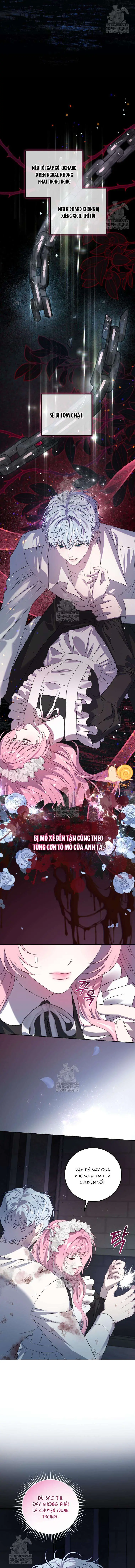 Kẻ Ám Ảnh Cuồng Tín Đang Cố Giam Cầm Tôi Chapter 6 - Trang 6