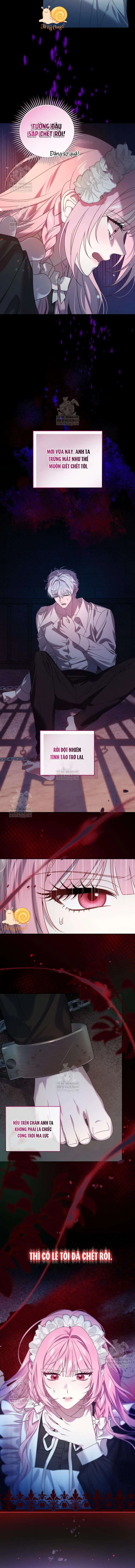 Kẻ Ám Ảnh Cuồng Tín Đang Cố Giam Cầm Tôi Chapter 7 - Trang 4