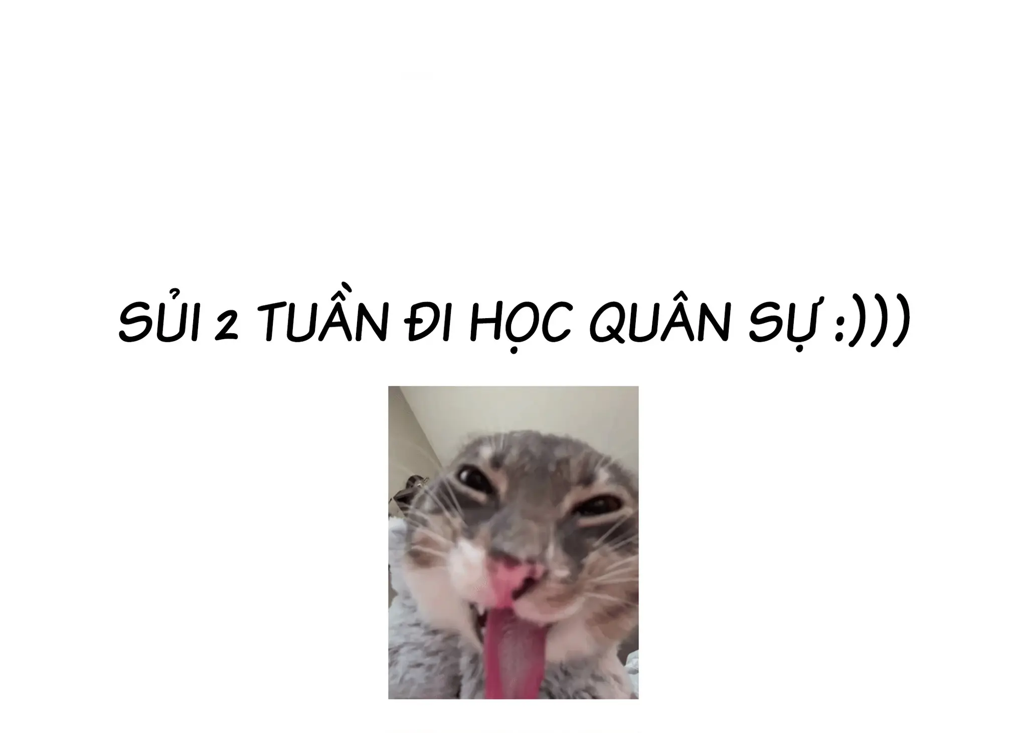 Kế Hoạch Cải Tạo Nữ Phản Diện Chapter 8 - Trang 34