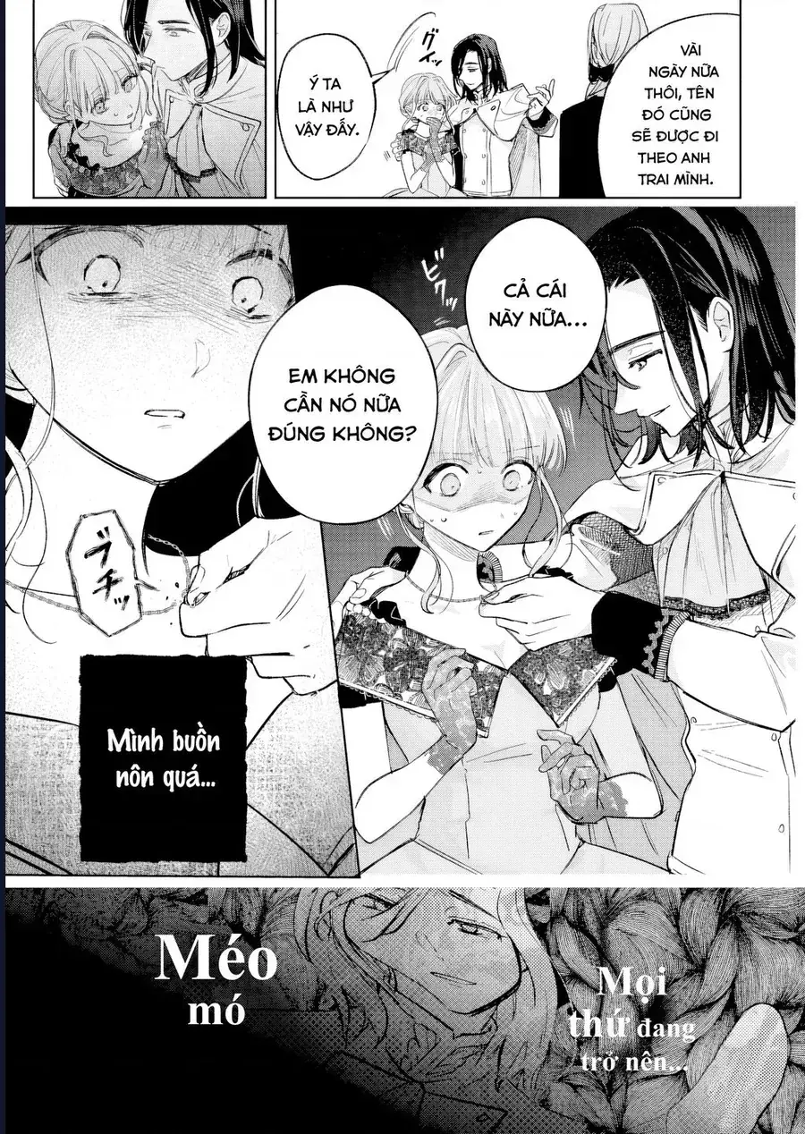 Kế Hoạch Cải Tạo Nữ Phản Diện Chapter 9 - Trang 11