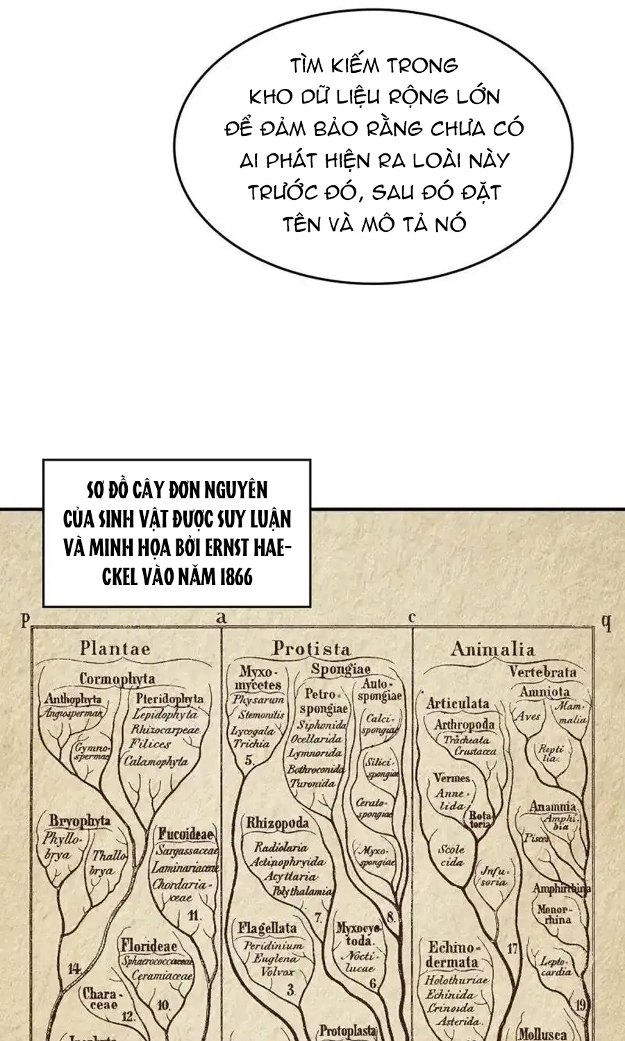 Kẻ Thách Thức Hay Nhà Không Tưởng Chapter 2 - Trang 34