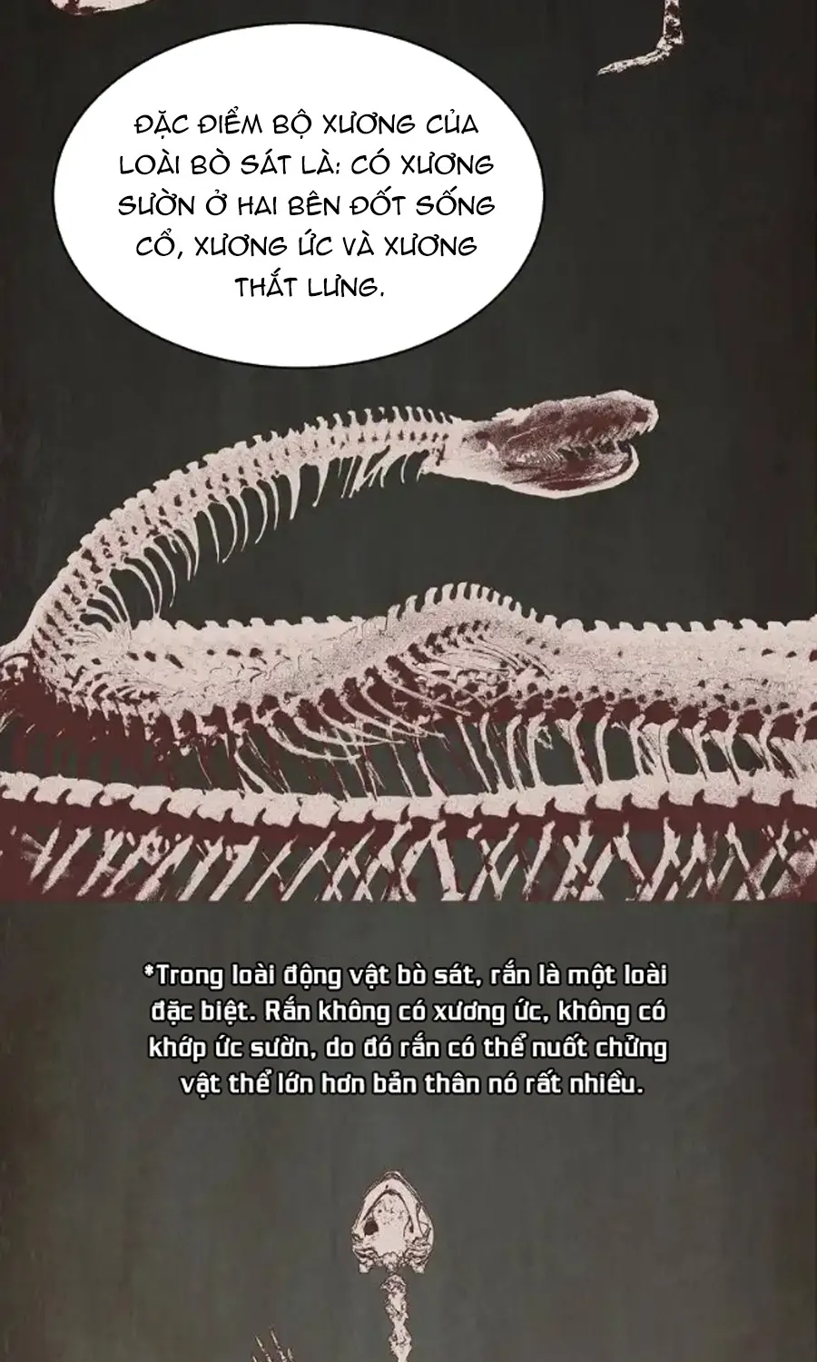 Kẻ Thách Thức Hay Nhà Không Tưởng Chapter 3 - Trang 34