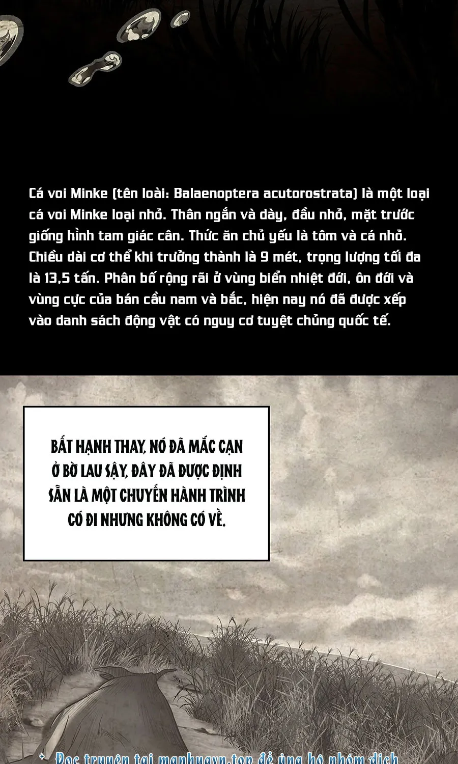 Kẻ Thách Thức Hay Nhà Không Tưởng Chapter 4 - Trang 12