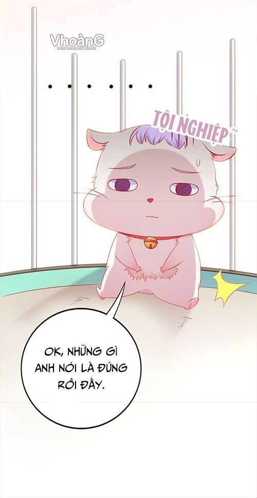 Kế Ước Ngọt Sủng:quốc Dân Lão Công Đích Tiểu Chiếm Giữ Thử Chapter 2 - Trang 12
