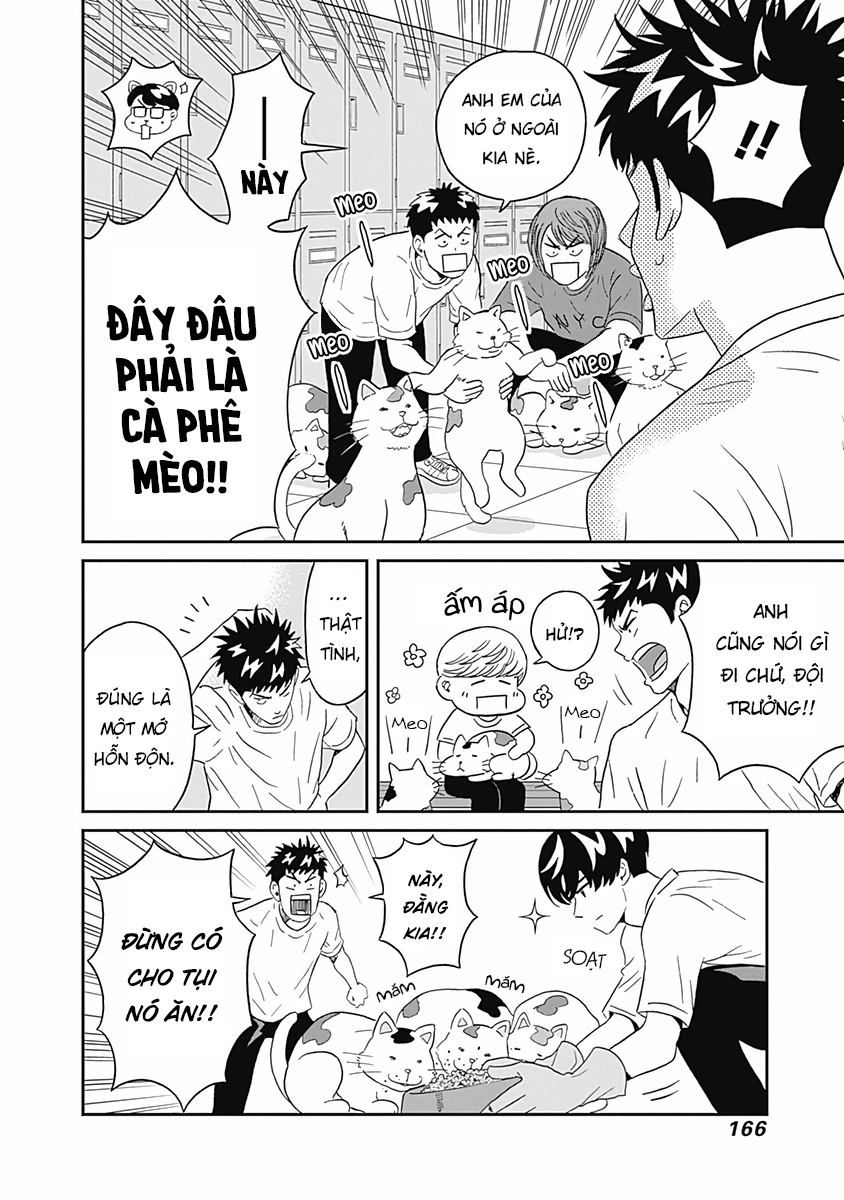 Keppeki Danshi! Aoyama-kun Chapter 12 - Trang 18