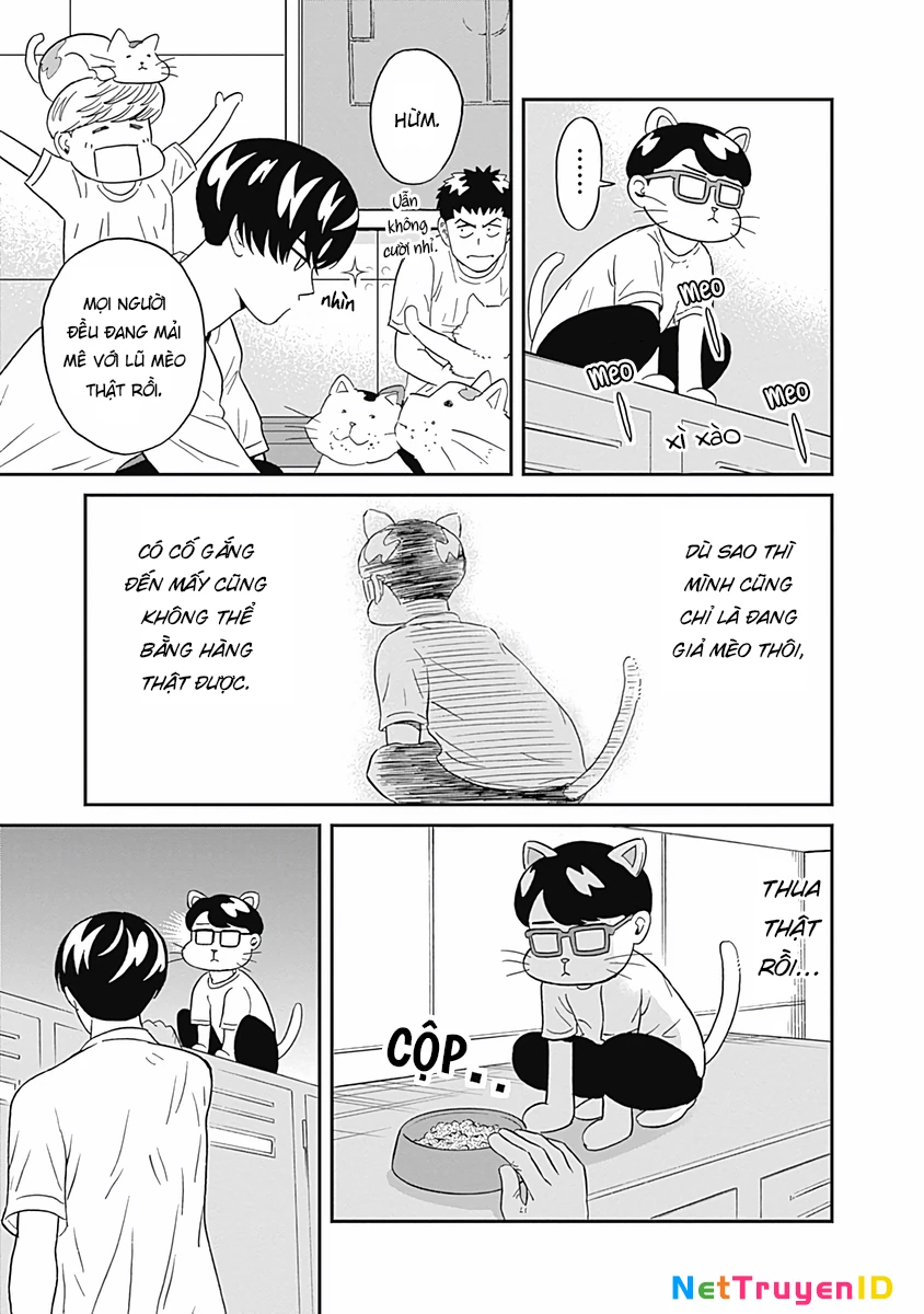 Keppeki Danshi! Aoyama-kun Chapter 12 - Trang 19