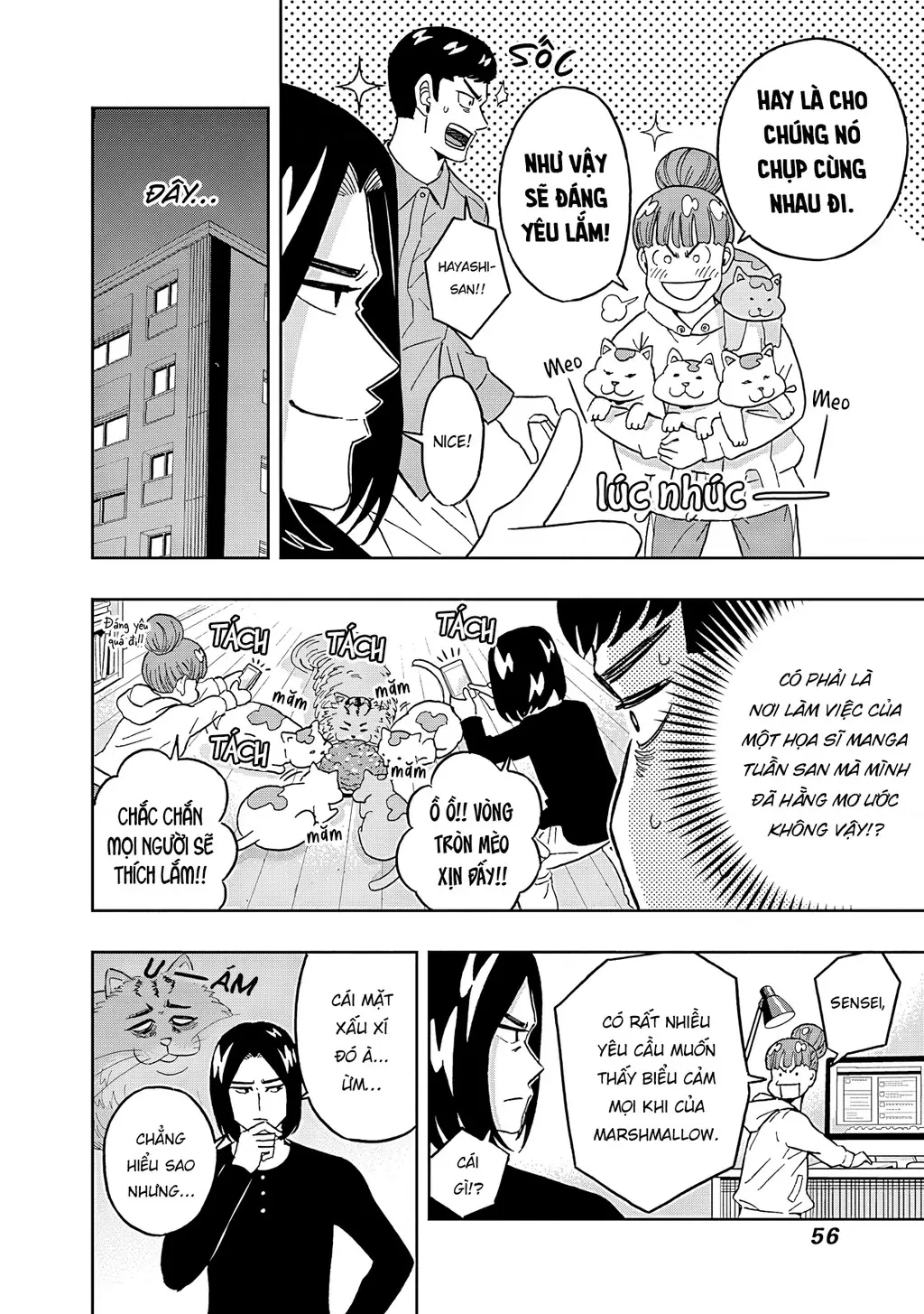 Keppeki Danshi! Aoyama-kun Chapter 52 - Trang 16