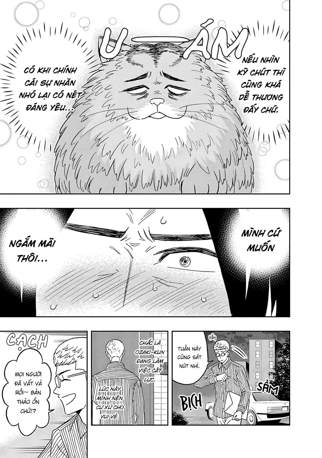 Keppeki Danshi! Aoyama-kun Chapter 52 - Trang 19