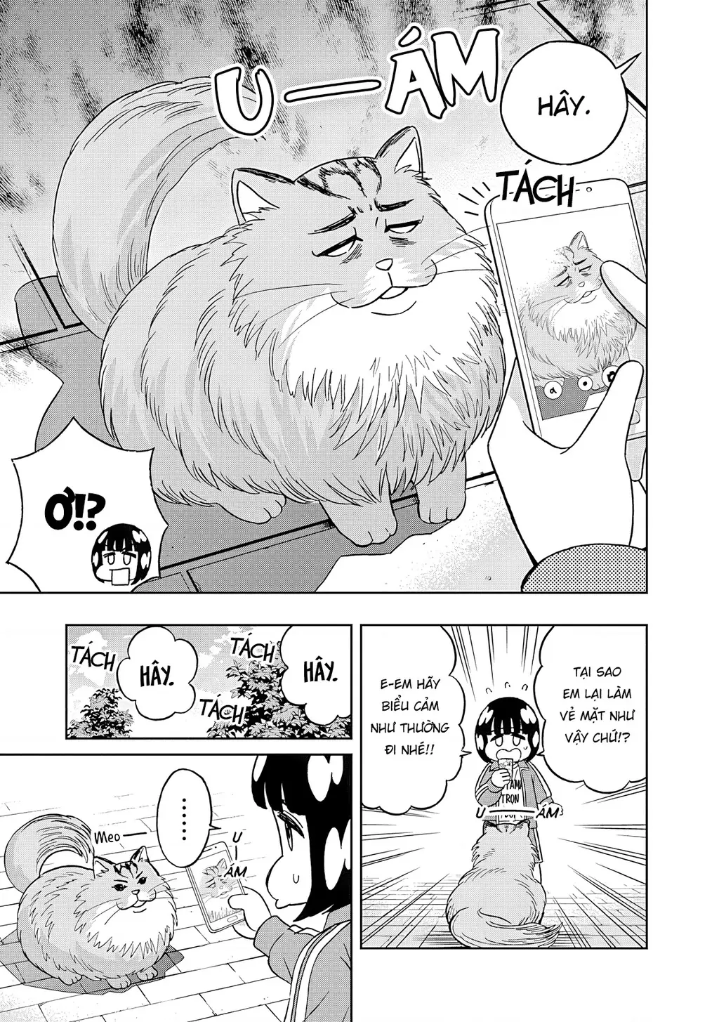 Keppeki Danshi! Aoyama-kun Chapter 52 - Trang 5
