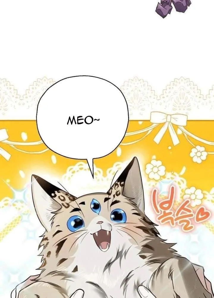 Khế Ước Của Ta Biến Thành Truyền Thuyết Ma Quái Chapter 3 - Trang 4