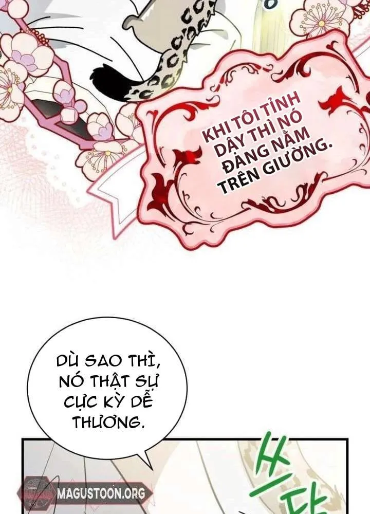 Khế Ước Của Ta Biến Thành Truyền Thuyết Ma Quái Chapter 3 - Trang 9