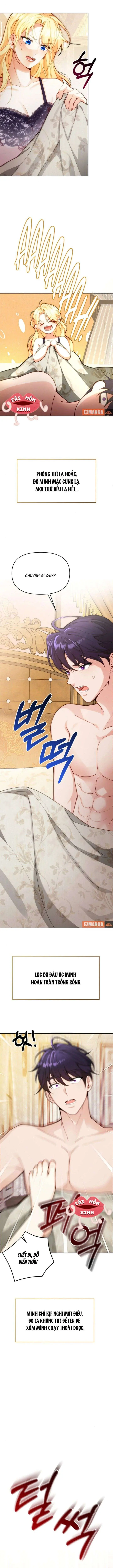 Khi Người Chồng Cũ Của Tôi Đòi Tái Hợp Chapter 1 - Trang 11