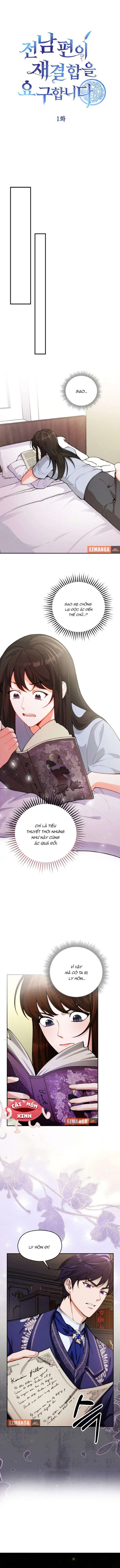 Khi Người Chồng Cũ Của Tôi Đòi Tái Hợp Chapter 1 - Trang 3