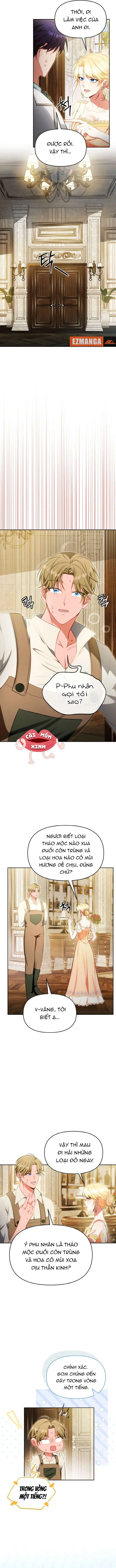 Khi Người Chồng Cũ Của Tôi Đòi Tái Hợp Chapter 14 - Trang 14
