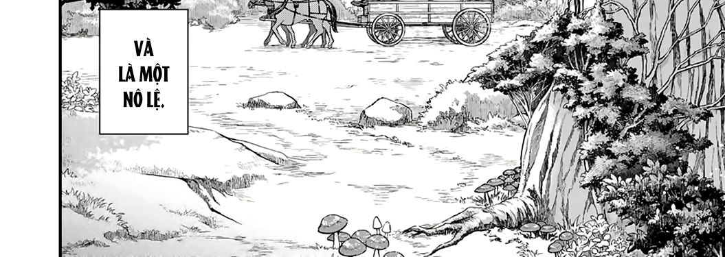 Khi Tôi Chuyển Sinh Thành Một Thanh Kiếm Chapter 1 - Trang 11