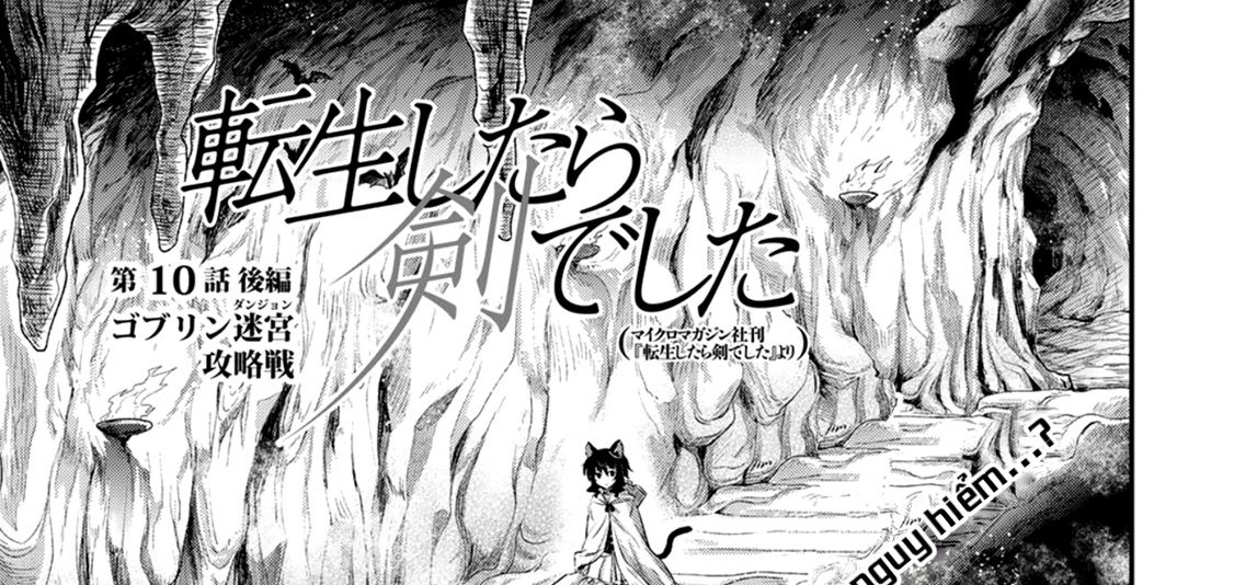 Khi Tôi Chuyển Sinh Thành Một Thanh Kiếm Chapter 10 - Trang 46