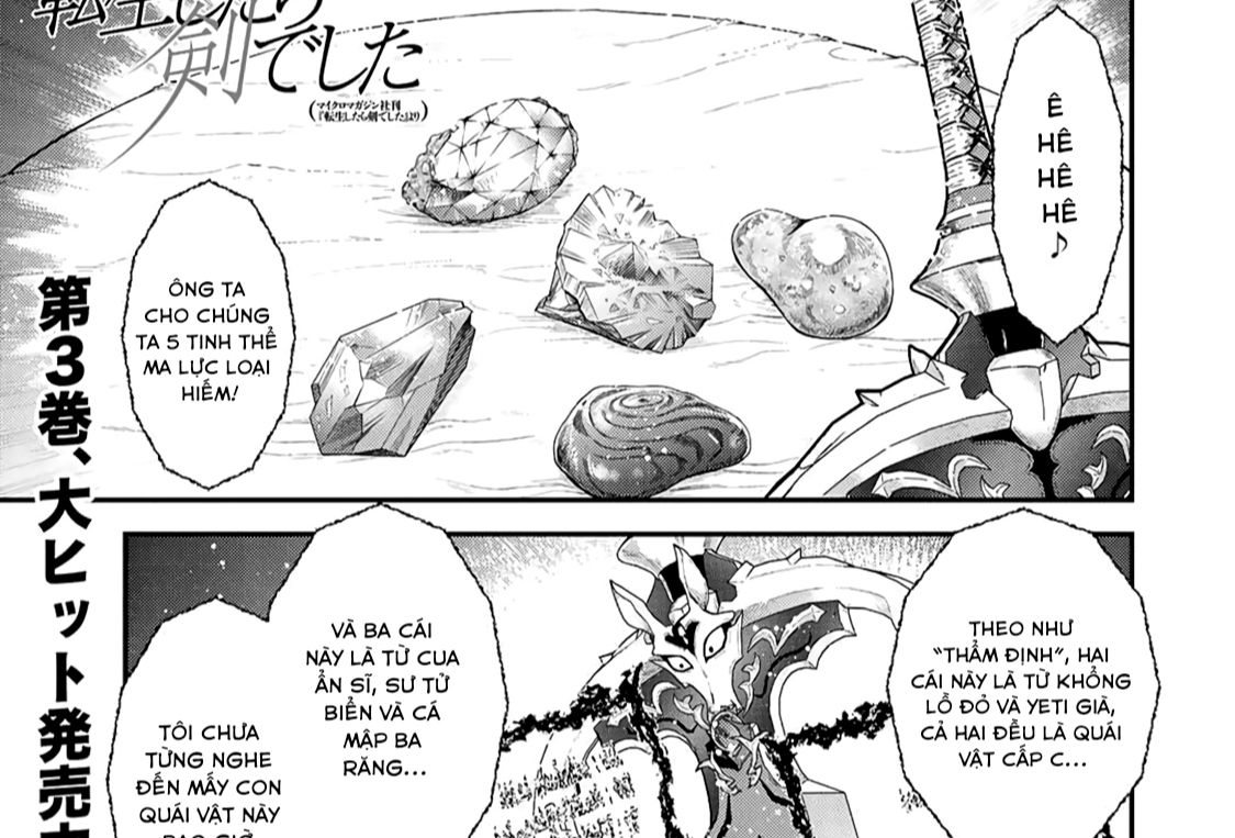 Khi Tôi Chuyển Sinh Thành Một Thanh Kiếm Chapter 17 - Trang 3