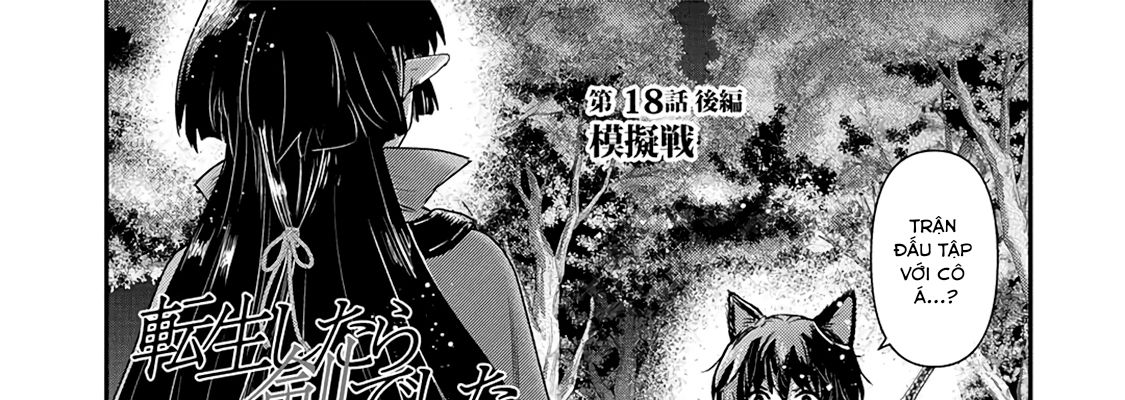 Khi Tôi Chuyển Sinh Thành Một Thanh Kiếm Chapter 18 - Trang 33