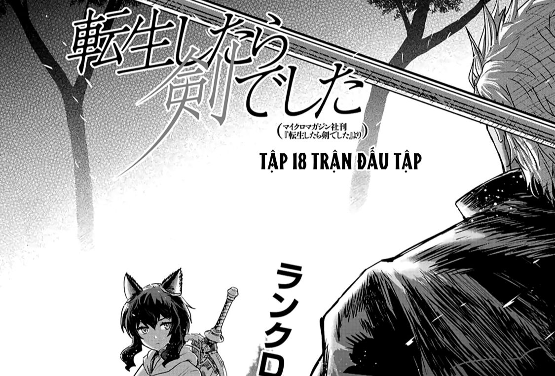 Khi Tôi Chuyển Sinh Thành Một Thanh Kiếm Chapter 18 - Trang 4