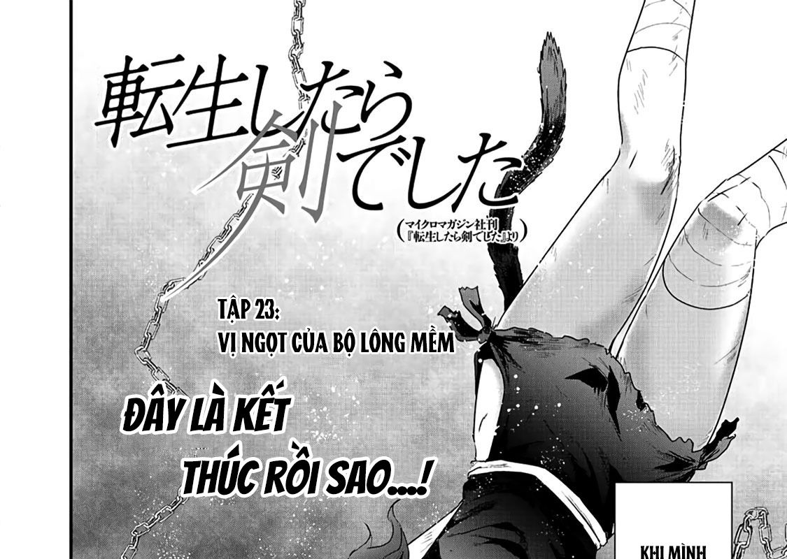 Khi Tôi Chuyển Sinh Thành Một Thanh Kiếm Chapter 23 - Trang 5