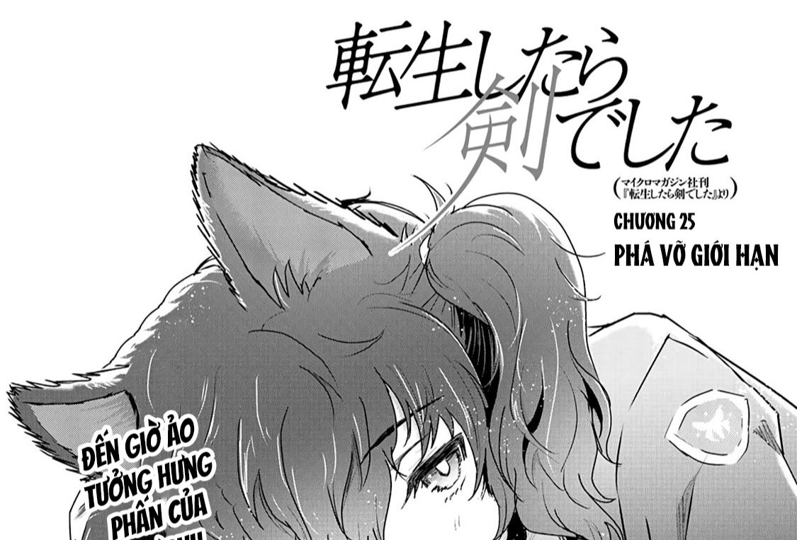 Khi Tôi Chuyển Sinh Thành Một Thanh Kiếm Chapter 25 - Trang 3
