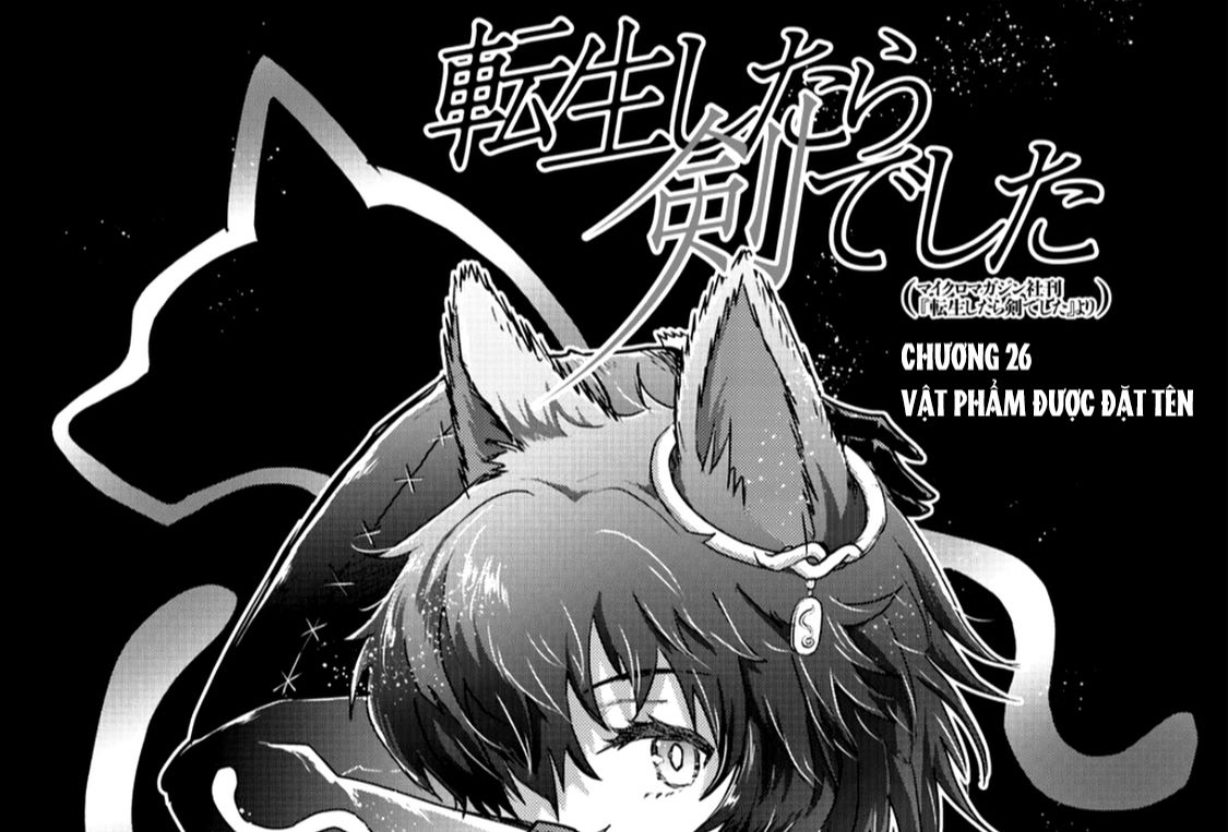Khi Tôi Chuyển Sinh Thành Một Thanh Kiếm Chapter 26 - Trang 3