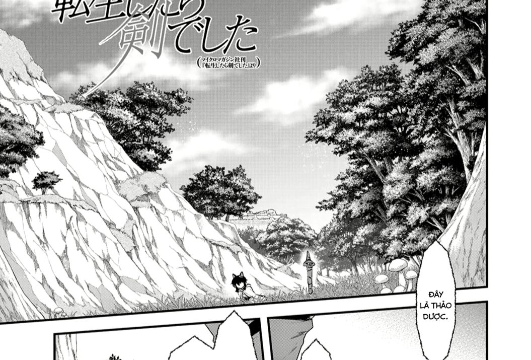 Khi Tôi Chuyển Sinh Thành Một Thanh Kiếm Chapter 8 - Trang 3