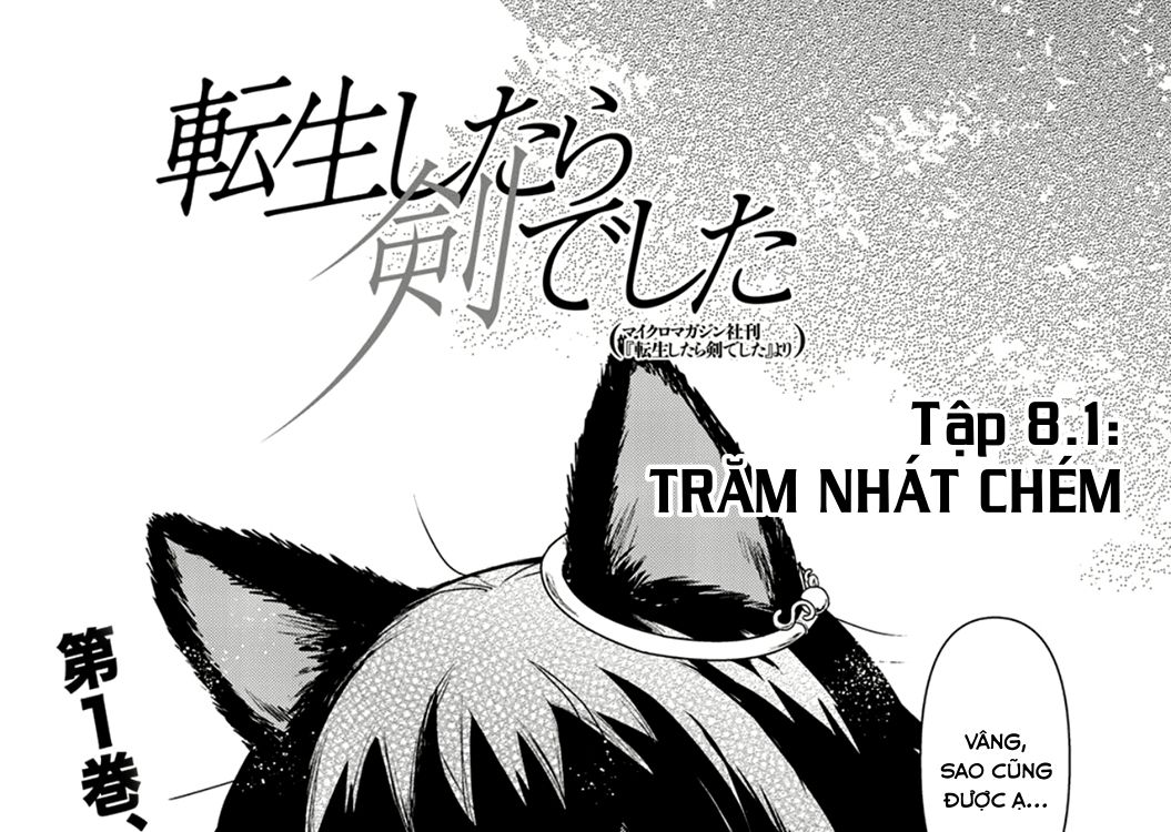 Khi Tôi Chuyển Sinh Thành Một Thanh Kiếm Chapter 8 - Trang 5