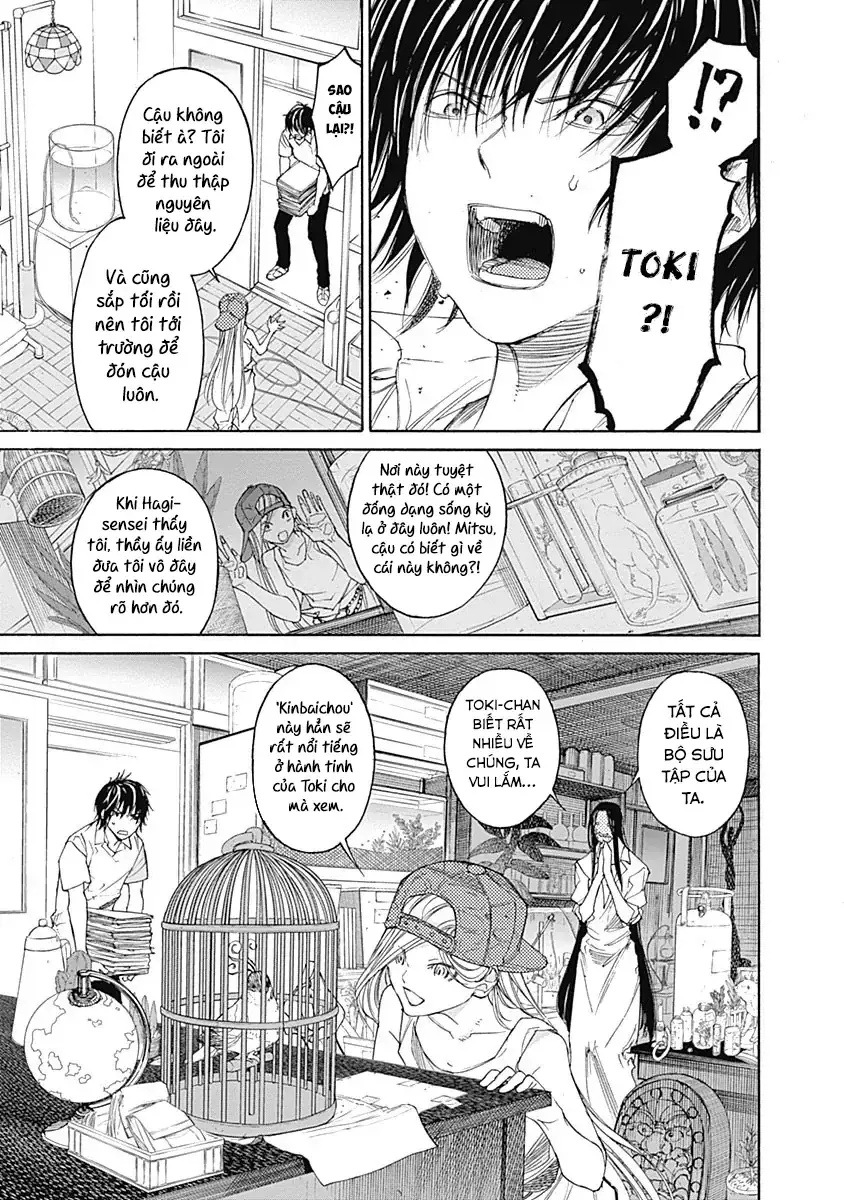 Khoảnh Khắc Của Toki Chapter 3 - Trang 10