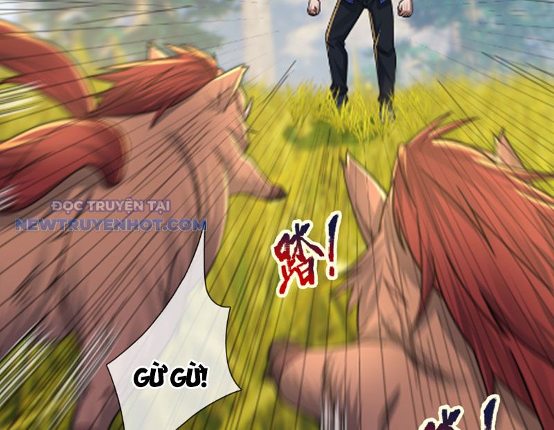 Khởi đầu Bằng Một Vạn Hít đất: Oanh Sát Thần Minh! Chapter 4 - Trang 32