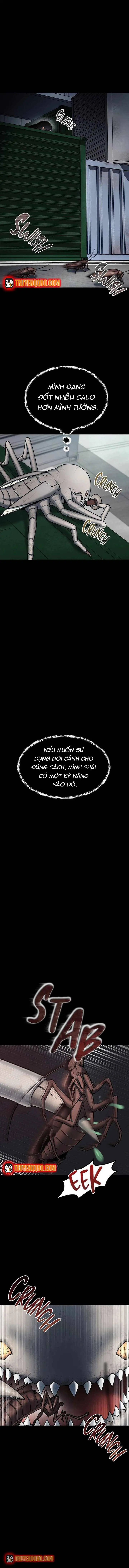 Khởi Nguyên Của Một Quái Thể Vũ Trụ Chapter 3 - Trang 4