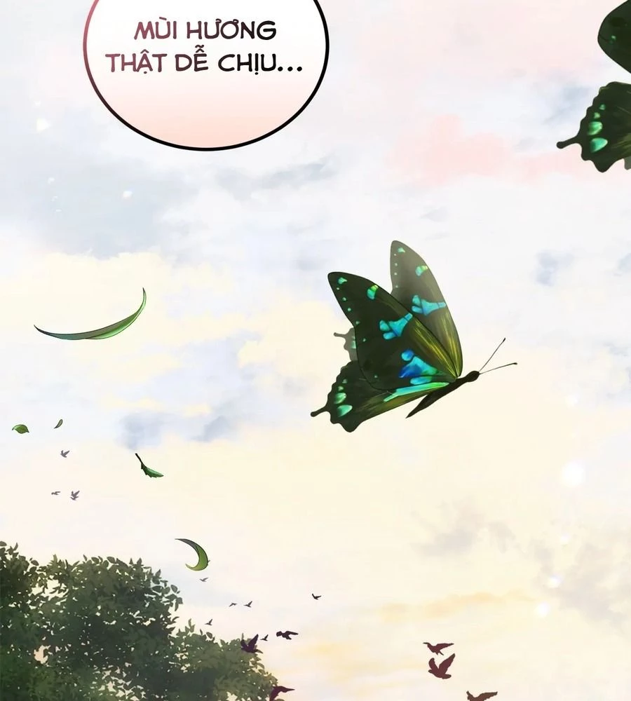 Không Bao Giờ Trở Về Gia Đình Đã Bỏ Rơi Tôi Chapter 13 - Trang 39