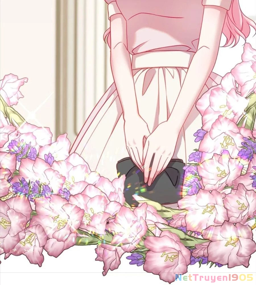 Không Bao Giờ Trở Về Gia Đình Đã Bỏ Rơi Tôi Chapter 15 - Trang 9