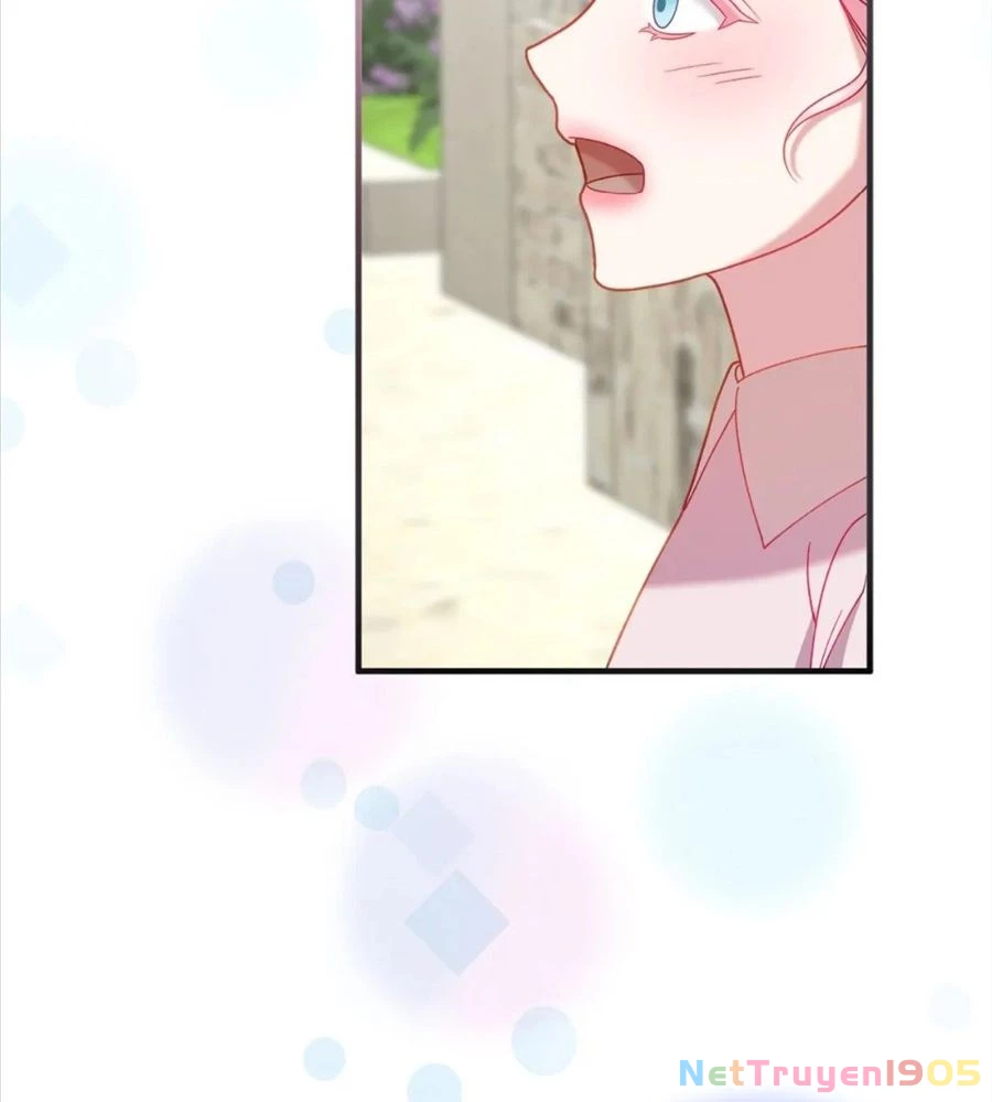 Không Bao Giờ Trở Về Gia Đình Đã Bỏ Rơi Tôi Chapter 16 - Trang 8