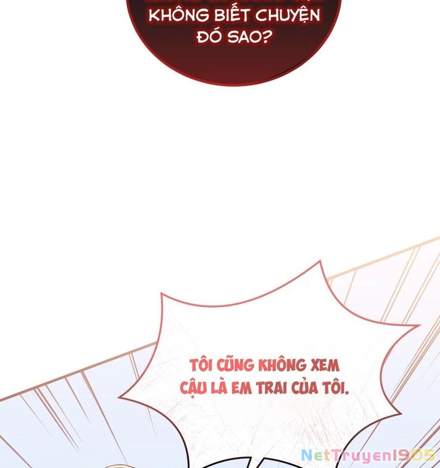 Không Bao Giờ Trở Về Gia Đình Đã Bỏ Rơi Tôi Chapter 35 - Trang 33