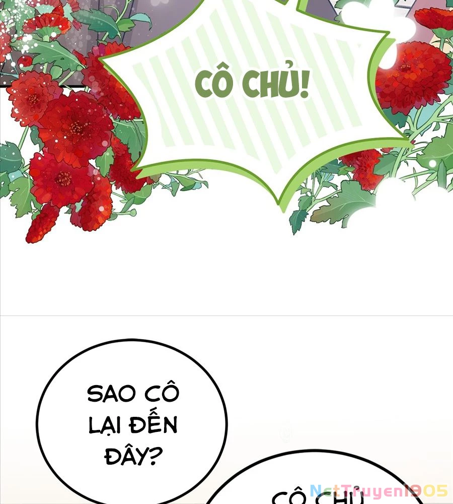 Không Bao Giờ Trở Về Gia Đình Đã Bỏ Rơi Tôi Chapter 40 - Trang 45