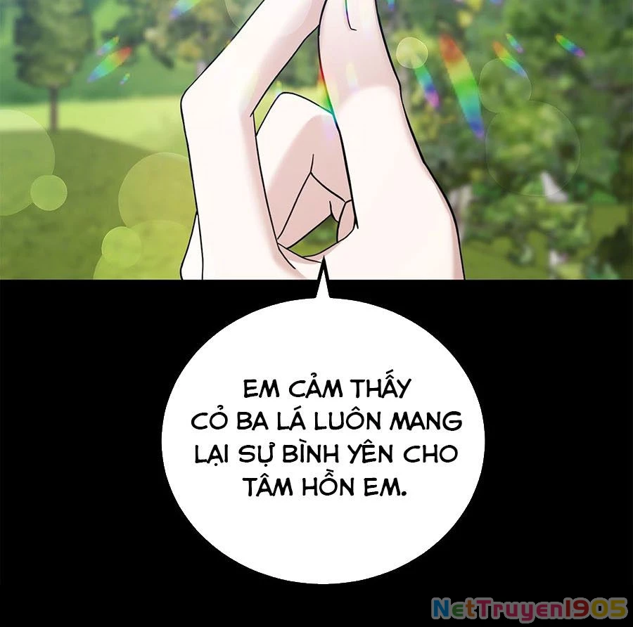 Không Bao Giờ Trở Về Gia Đình Đã Bỏ Rơi Tôi Chapter 47 - Trang 16