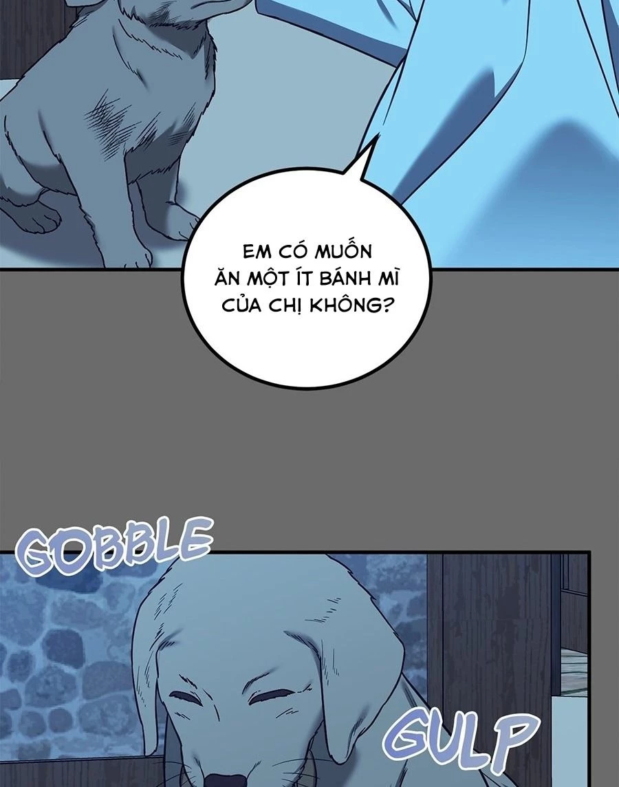 Không Bao Giờ Trở Về Gia Đình Đã Bỏ Rơi Tôi Chapter 62 - Trang 26