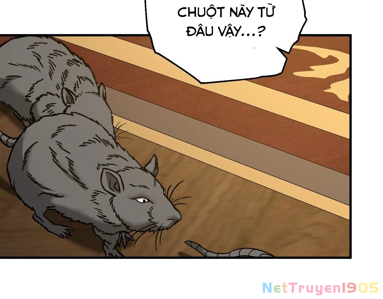 Không Bao Giờ Trở Về Gia Đình Đã Bỏ Rơi Tôi Chapter 77 - Trang 3