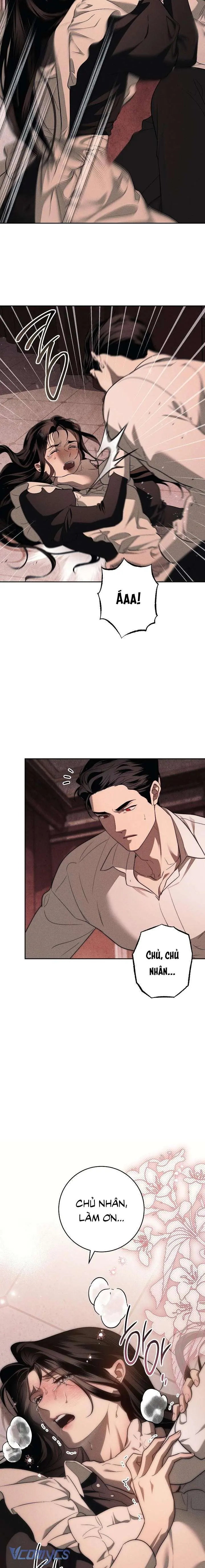 [KHÔNG CHE] Mộ Thiên Nga Chapter 2 - Trang 16