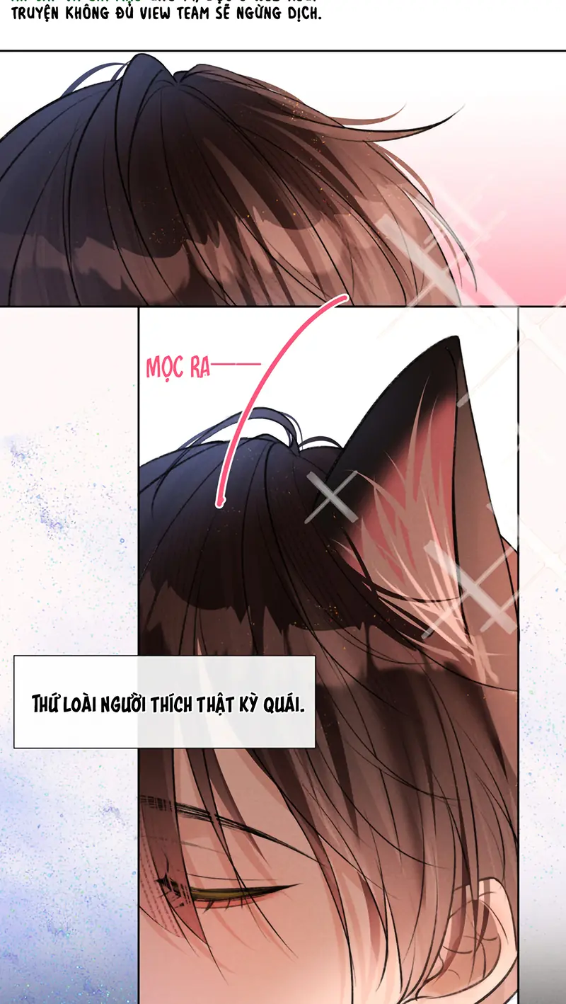 Không Được Ghét Tôi Chapter 1 - Trang 15
