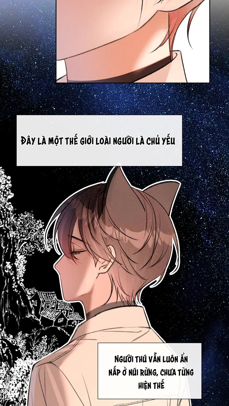 Không Được Ghét Tôi Chapter 1 - Trang 16