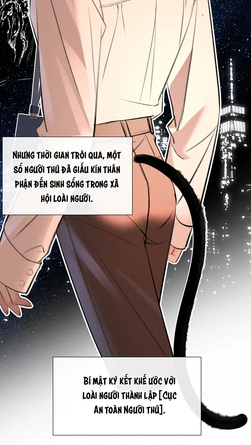 Không Được Ghét Tôi Chapter 1 - Trang 17