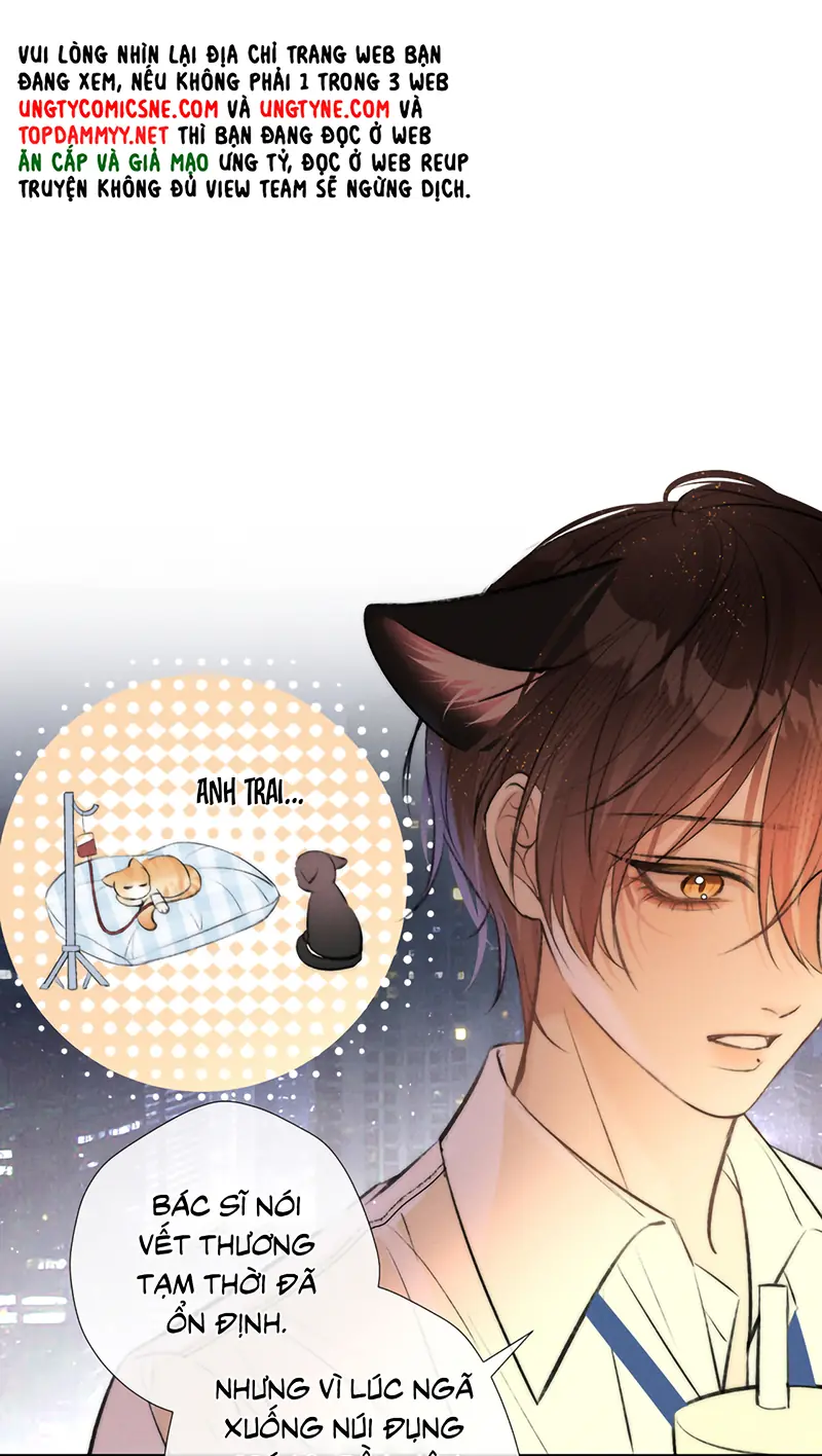 Không Được Ghét Tôi Chapter 1 - Trang 21